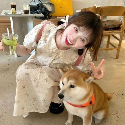 谎言之城